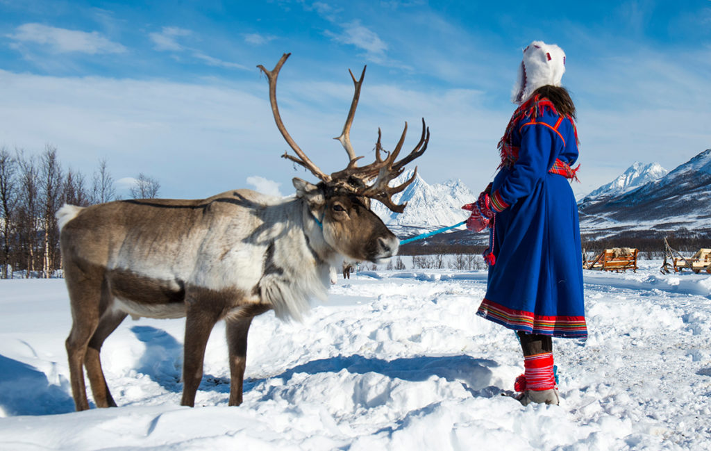 Sami woman and Reindeer in Lapland